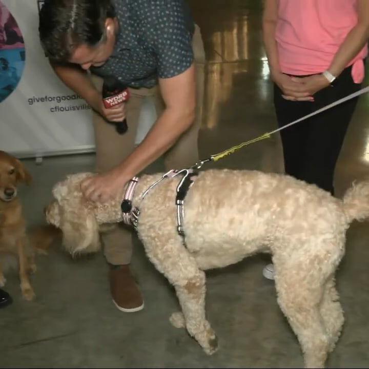 Keith meets some dogs at Give for Good Louisville